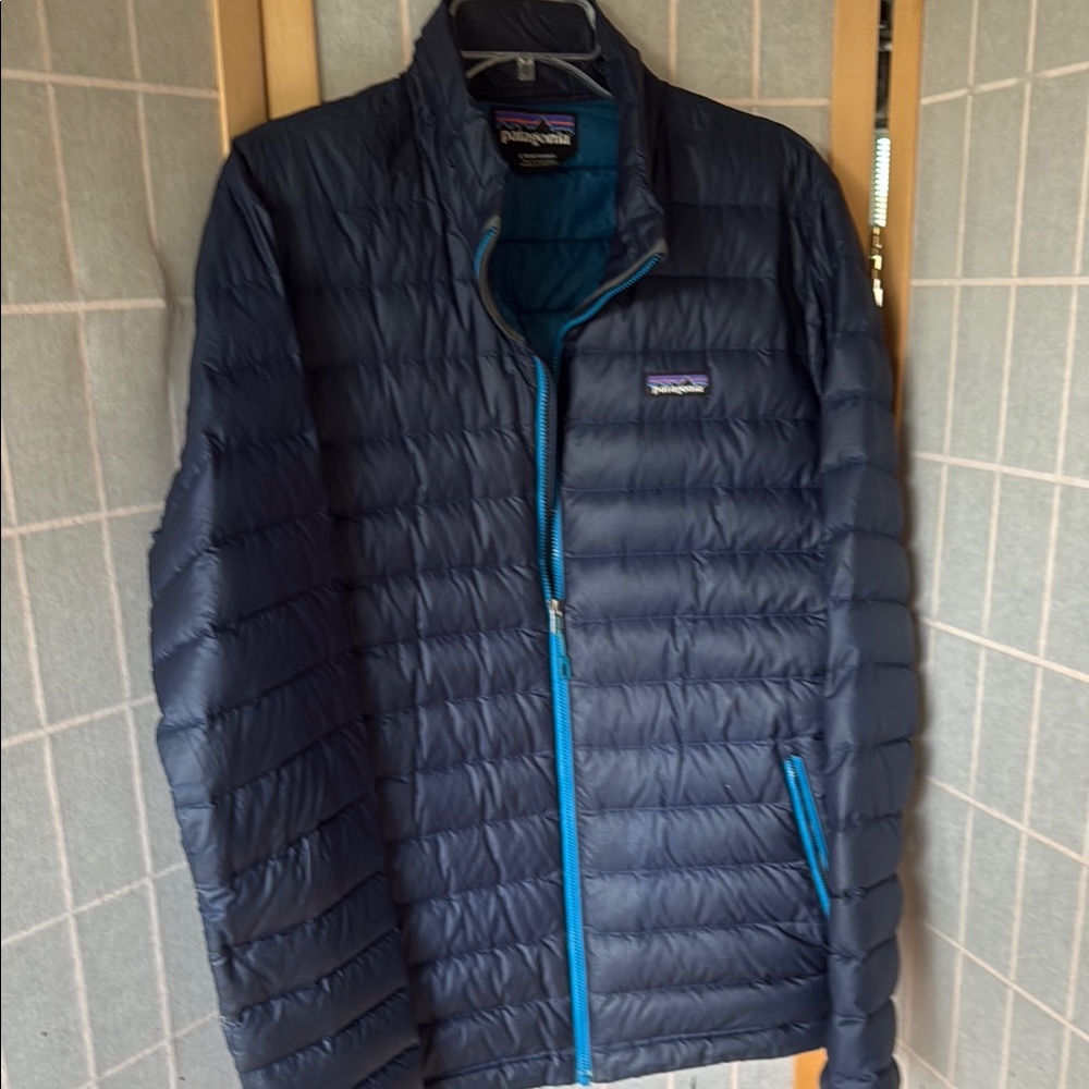 Patagonia Men's Navy Down Jacket